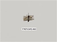 藏品(黃領凹背蜾蠃)的圖片